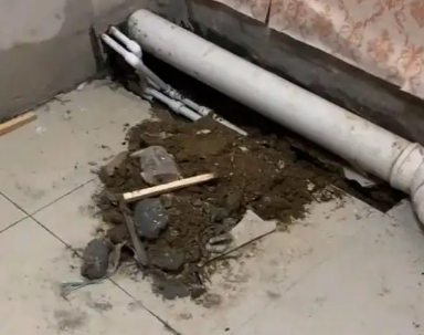 龙岩市卫生间漏水检测哪家好